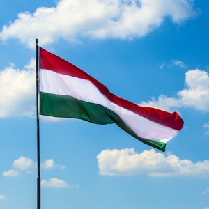 Municipal elections in Hungary 2019